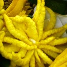 Lots of crazy fruits